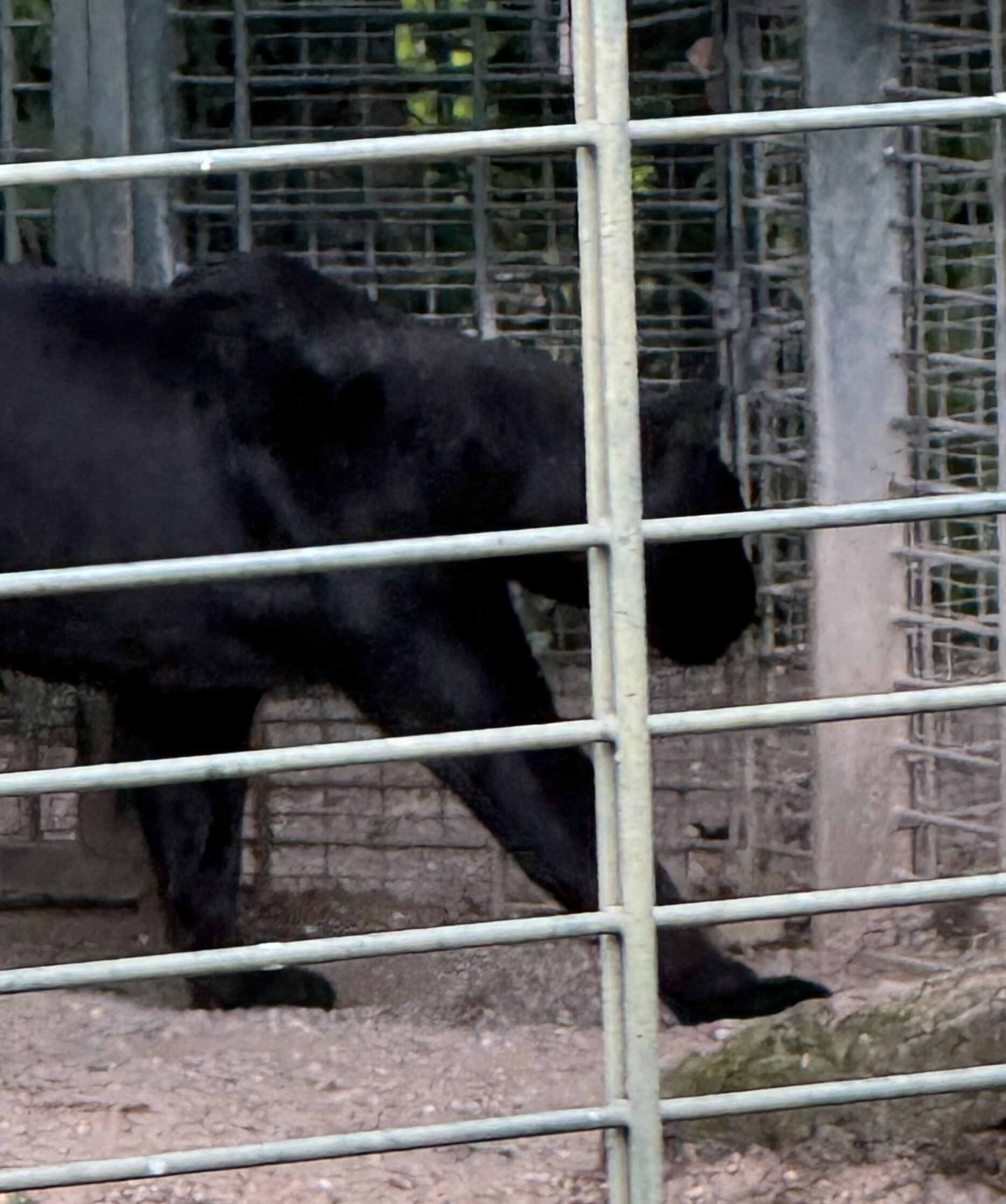 Hinter Gittern