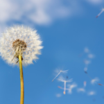 Blick in die Zukunft