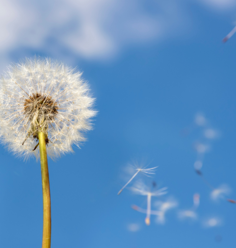 Gedicht Empfindlichkeit